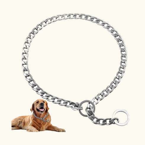 Dog Collar Shepherds Chain